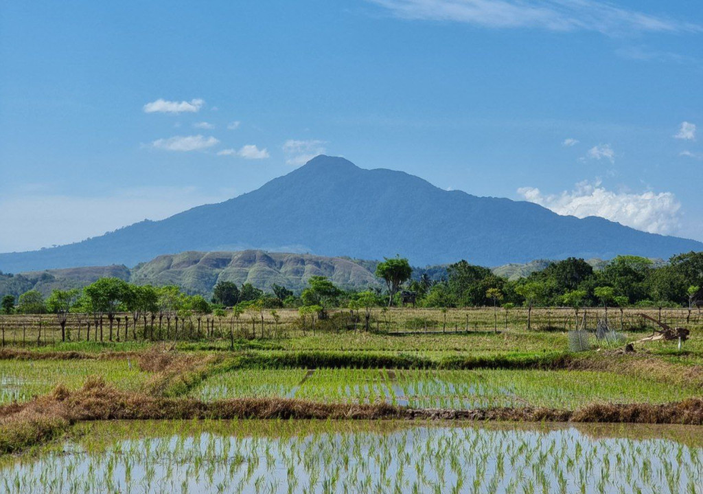 Potensi Gampong Bueng di Bidang Pertanian